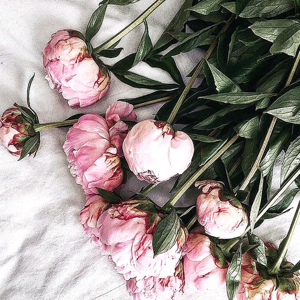 Meet your Posher, Kalina